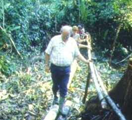 Amazon Jungle trekking