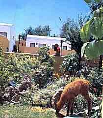 Exterior of hotel grounds