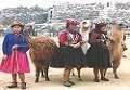 Click here for Cuzco, Peru