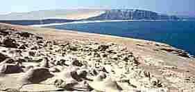 Wildlife ocean sanctuary near Paracas
